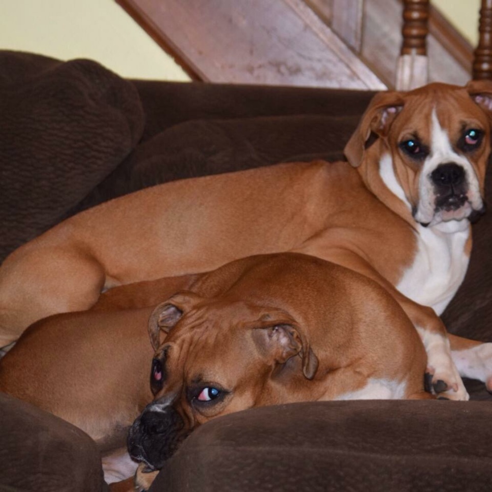 Meet your Posher, Gary